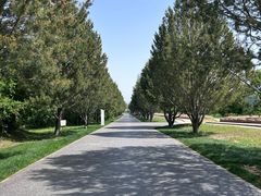 -秦始皇帝陵博物院-丽山园