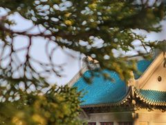 -武汉大学-樱园