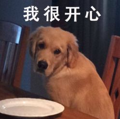 -先锋国际宴会中心(先锋国际广场店)