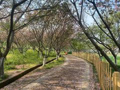 -凤凰沟景区