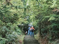 -楠溪江石桅岩