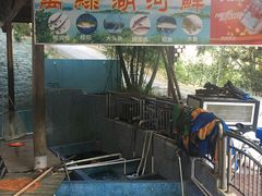 -鲤鱼塘农家山庄