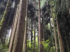 -太阳湾风景区
