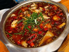 -乡土特色.冷锅鱼.牦牛肉汤锅