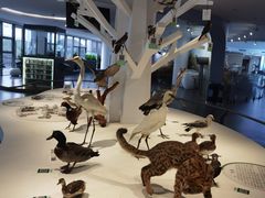 -漩门湾国家湿地公园