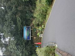 -中国大熊猫保护研究中心雅安碧峰峡基地