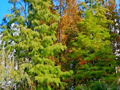 -苏州河梦清园环保主题公园