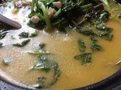 上汤鸡毛菜-四季民福烤鸭店(前门廊房二条店)