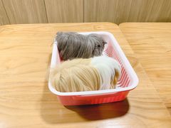 -藦茜花园宠物主题亲子互动体验馆(国顺东路店)