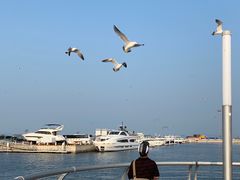 -东港音乐喷泉广场