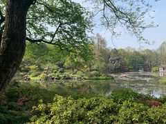 -杭州植物园