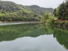 -桃花岭景区