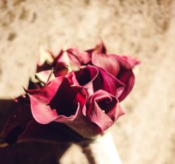 -天泰一站式婚宴·宴会厅