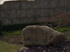 -嘉定紫藤园