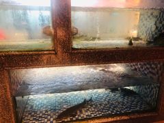 -格塘人家·山泉水煮鱼(望兴家园店)