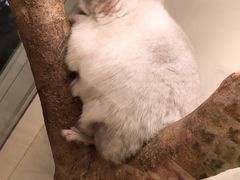 -龙猫仔乐园(惠福东路店)