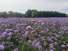 -渤公岛生态公园