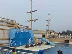 -秦皇岛乐岛海洋王国