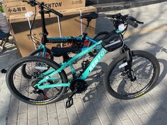 -道路口单车爱瓦士dahon大行