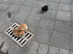 -晓港公园
