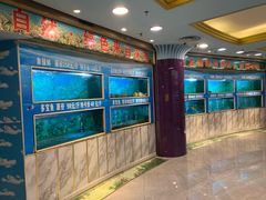 -金龙渔港(双楠店)