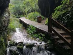 -冠豸山景区