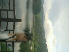 -忆湘南(庐山店)