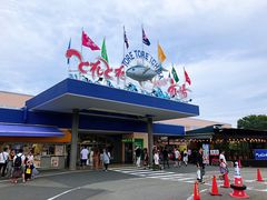 -海鮮寿司とれとれ市場