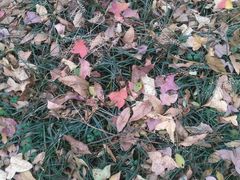 -镇江市南山风景名胜区竹林景区