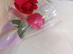 -茂菊口腔连锁(浦东南路店)