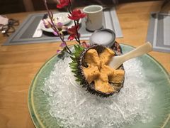 -鮨桐日本料理(望京店)
