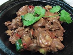 -石头咕(葵蓬店)