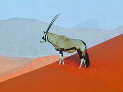 -罗红摄影艺术馆