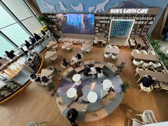 -抱抱地球咖啡馆(国家海洋博物馆店)