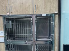 -半岛宠物医院24小时·内窥镜·牙科·碎石中心(府城大道店)