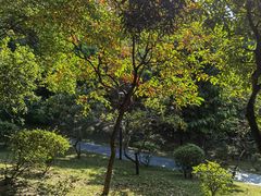-燕晗山郊野公园