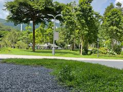 -阳台山森林公园
