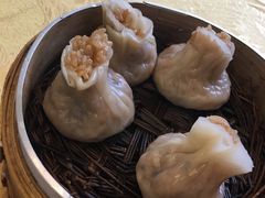 -清真·安乐园菜馆(茶南店)