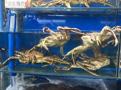 -蚝专家(北滘店)