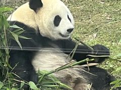 -武汉动物园