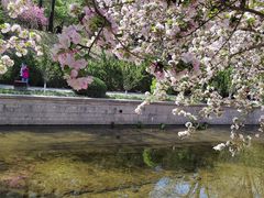 -元大都城垣遗址公园