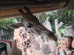 -清迈夜间动物园