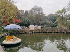 -杭州少年儿童公园