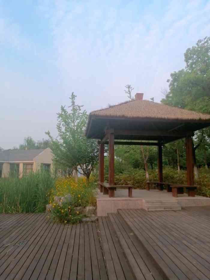 贾纪山公园-"受疫情影响,宅了20多天,天气晴朗,去超."-大众点评移动版