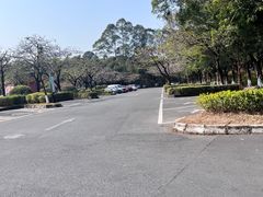 -三水森林公园