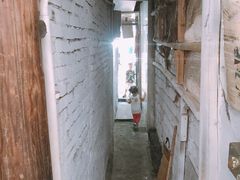-孙奶奶葱包桧