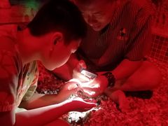 -水晶之星洗浴温泉汗蒸