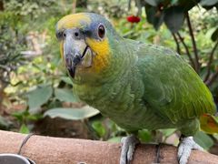 -南宫五洲植物乐园