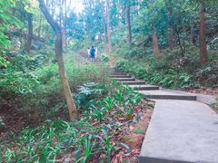 -广州市帽峰山景区