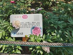 -仁和公园(顺义区)